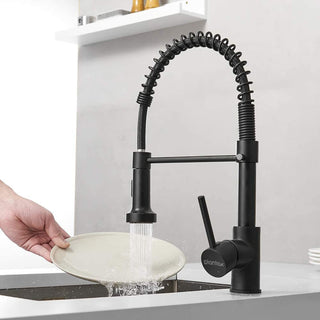 Plantex Designer Brass Single Handle High Arc Spring Pull Out Kitchen Sink Faucet/Hot & Cold Water Mixer Tap with Pull Down Sprayer Multitask Mode- Matte Black