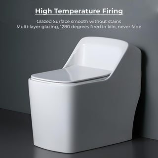 Plantex Platinium Ceramic Rimless One Piece Western Toilet/Commode for Toilet/Commode With Soft Close Toilet Seat - S Trap Outlet (White)