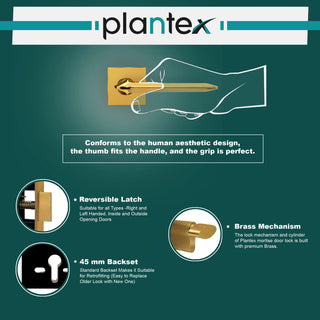 Plantex Heavy Duty Door Lock - Main Door Lock Set with 3 Keys/Mortise Door Lock for Home/Office/Hotel (7105 - Gold)