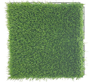 Plantex Tiles for Floor-High Density Grass Carpet Tiles/Garden Tile/Quick Flooring Solution for Indoor/Outdoor Deck Tile-Pack of 1 (2:1 Sq.Feet,APS-1212)