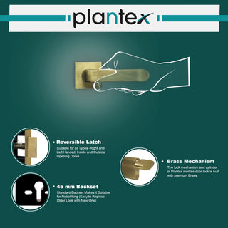 Plantex Heavy Duty Door Lock - Main Door Lock Set with 3 Keys/Mortise Door Lock for Home/Office/Hotel (7110 - Brass Antique)