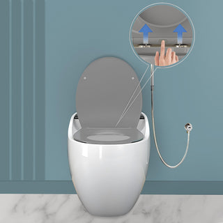 Plantex Platinum Ceramic Rimless One Piece Western Toilet/Commode for Toilet/Commode With Soft Close Toilet Seat - S Trap Outlet (White & Grey)