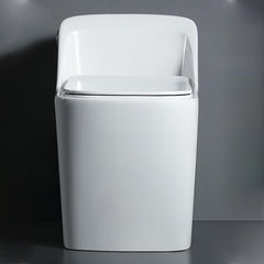 Plantex Platinium Ceramic Rimless One Piece Western Toilet/Water Closet/Commode With Soft Close Toilet Seat - S Trap Outlet (White)