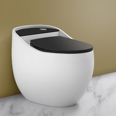 Plantex Platinium Ceramic One Piece Western Toilet/Water Closet/Commode With Soft Close Toilet Seat - S Trap Outlet (White and Black)